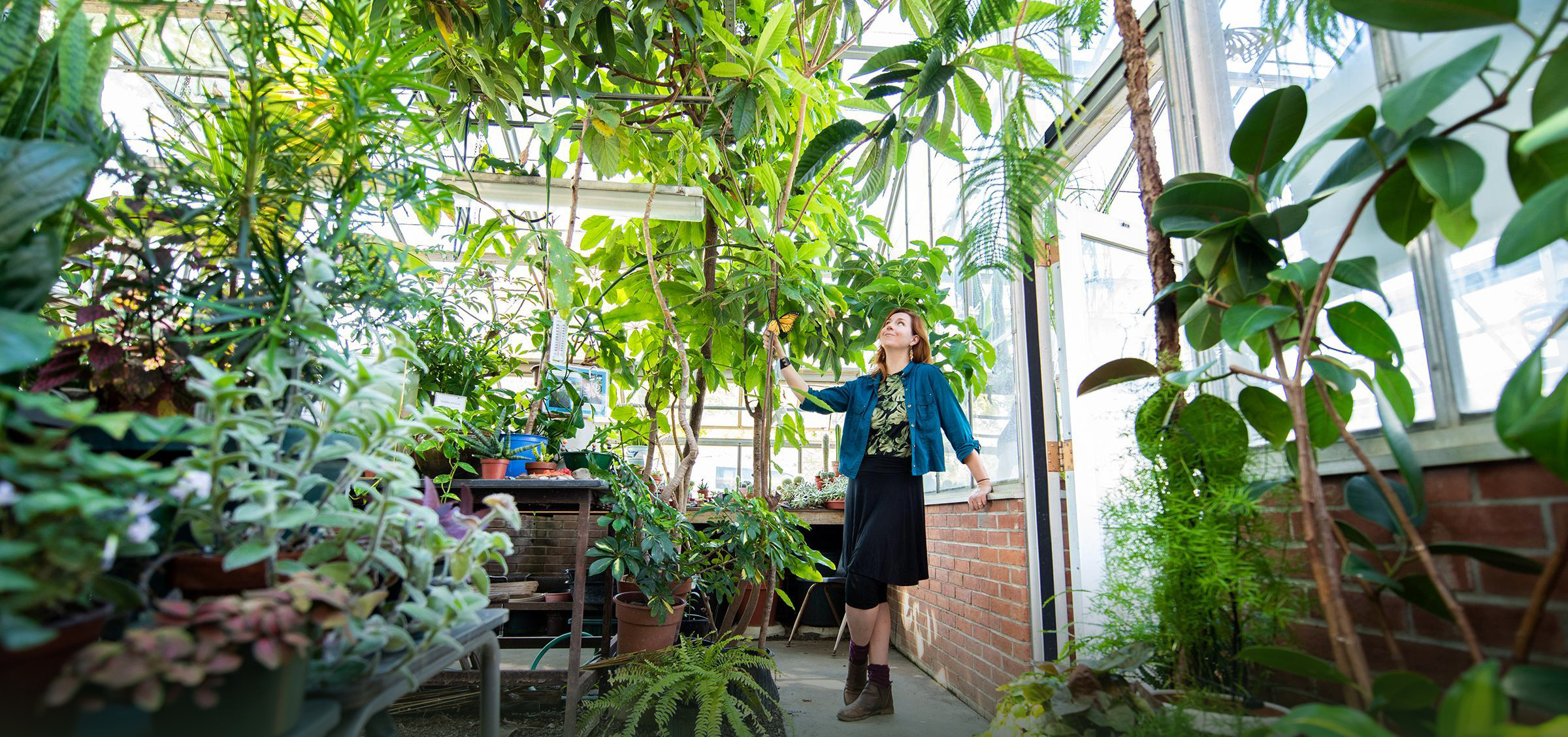 laura wyeth in the greenhouse